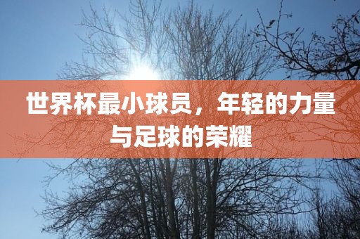 世界杯最小球广西贺州市华昌新材料有限公司员，年轻的力量与足球的荣耀