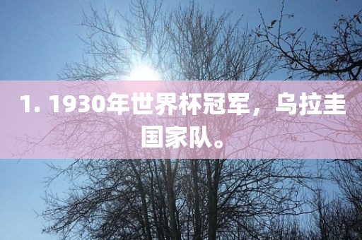 1. 1930年世界杯冠军，乌拉圭国家队。