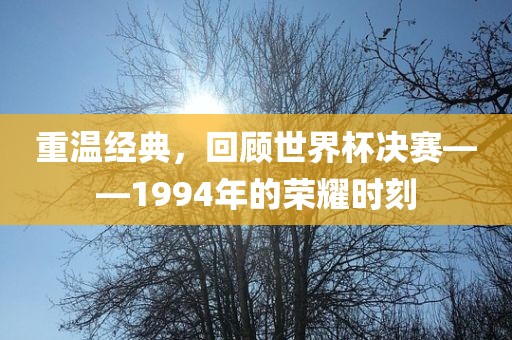 重温经典，回顾世界杯决赛——1994年的荣耀时刻广西贺州市华昌新材料有限公司