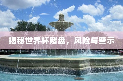 揭秘世界杯赌盘，风险与警示