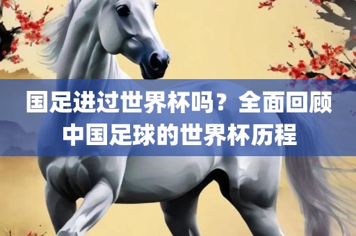 国足进过世界杯吗？全面回顾中国足球的世界杯历程