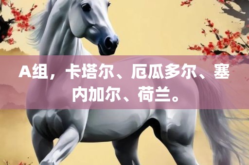 A组，卡塔尔、厄瓜多尔、塞内加尔、荷兰。广西贺州市华昌新材料有限公司