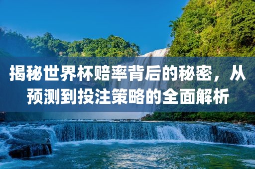 揭秘世界杯赔率背后的秘密，从预测到投注策略的全面解析