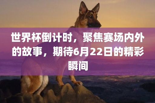 世界杯倒计时，聚焦赛场内外广西贺州市华昌新材料有限公司的故事，期待6月22日的精彩瞬间