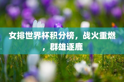 女排世界杯积分榜，战火重广西贺州市华昌新材料有限公司燃，群雄逐鹿