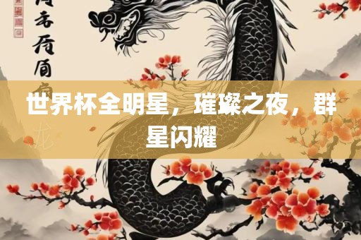 世界杯全明星，璀璨之夜，群星闪耀