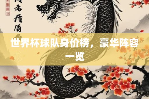 世界杯球队身价榜，豪华阵容一览广西贺州市华昌新材料有限公司