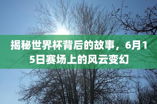 揭秘世界杯背后的故事，6月15日赛场上的风云变幻