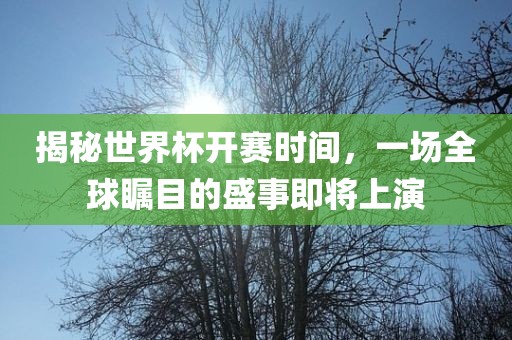 揭秘世界杯开赛时间，一场全球瞩目的盛事即将上演广西贺州市华昌新材料有限公司