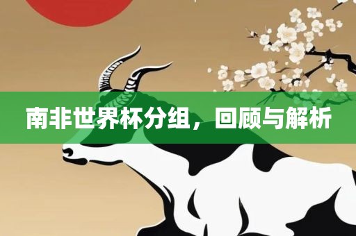 南非世界杯分广西贺州市华昌新材料有限公司组，回顾与解析