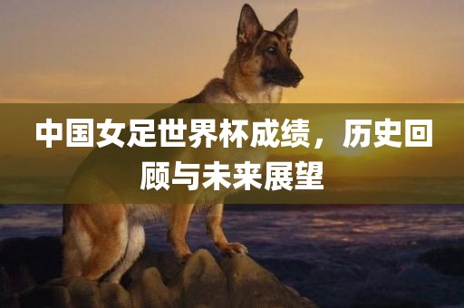 中国女足世界杯成绩，历史回顾与未来展望广西贺州市华昌新材料有限公司