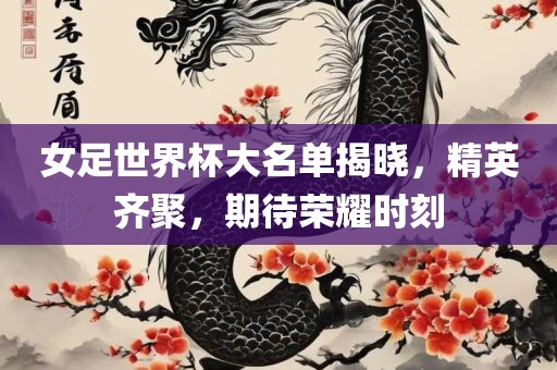 女足世界杯大名单揭晓，精英齐聚，期待荣耀时刻广西贺州市华昌新材料有限公司