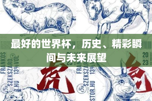 最好的世界杯，历史、精彩瞬间与未来展望