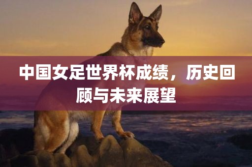 中国女足世广西贺州市华昌新材料有限公司界杯成绩，历史回顾与未来展望