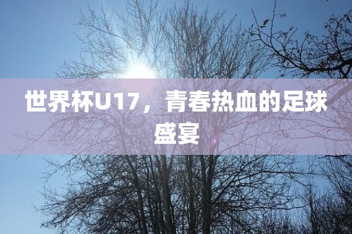 世界杯U17，青春热血的足球盛宴