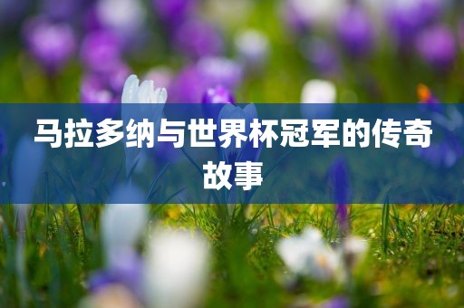 马拉多纳与世界杯冠军的传奇故事广西贺州市华昌新材料有限公司