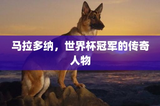 马拉多纳，世界杯冠军的传奇人物广西贺州市华昌新材料有限公司