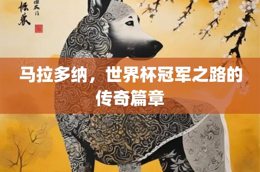 马拉多纳，世界杯冠军之路的传奇篇章广西贺州市华昌新材料有限公司