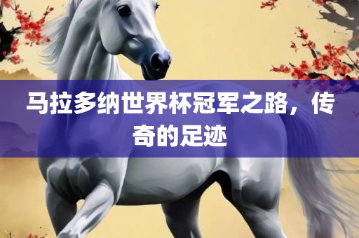 马拉多纳世界杯冠军之路，传奇的足迹