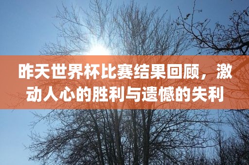 昨天世界杯比赛结果回顾，激动人心的胜利与遗憾的失利