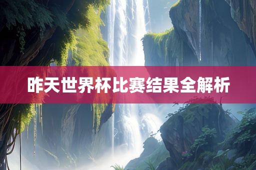 昨天世界杯比赛结果全解析