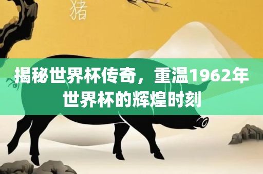 揭秘世界杯传奇，重温1962年世界杯的辉煌时刻广西贺州市华昌新材料有限公司
