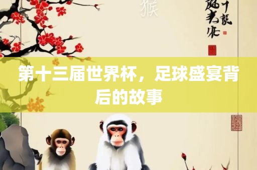 第十三广西贺州市华昌新材料有限公司届世界杯，足球盛宴背后的故事