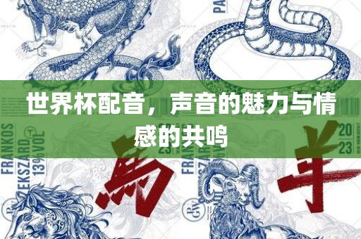 世界杯配音，声音的魅力与情感的共鸣广西贺州市华昌新材料有限公司