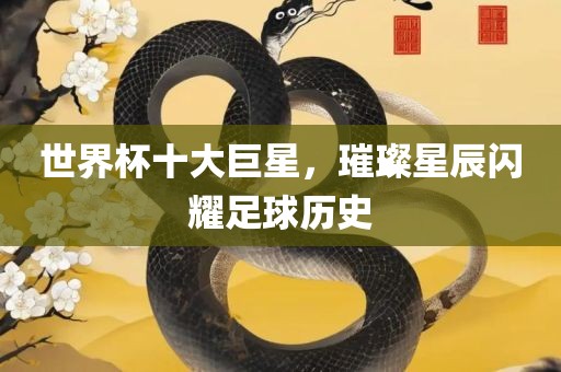 世界杯十大巨星，璀璨星辰闪耀足球历史广西贺州市华昌新材料有限公司