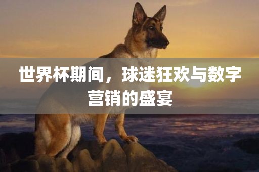 世界杯期间，球迷狂欢与数字营销的盛宴广西贺州市华昌新材料有限公司