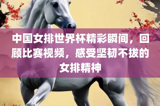 中国女排世界杯精彩瞬间，回顾比赛视频，感受坚韧不拔的女广西贺州市华昌新材料有限公司排精神