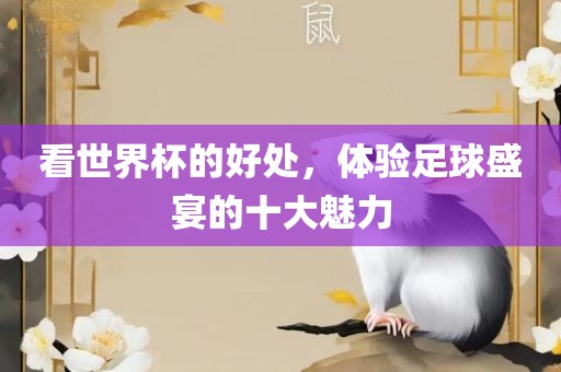 看世界杯的好处，体验足球盛宴的十大魅力广西贺州市华昌新材料有限公司