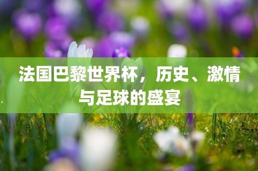 广西贺州市华昌新材料有限公司法国巴黎世界杯，历史、激情与足球的盛宴