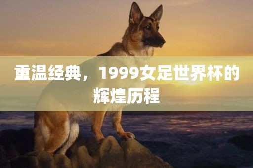 重温经典，1999女足世界杯的辉煌历程