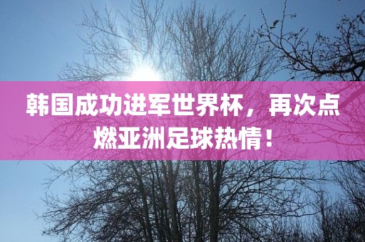 韩国成功进军世界杯，再次点燃亚洲足球热情！广西贺州市华昌新材料有限公司