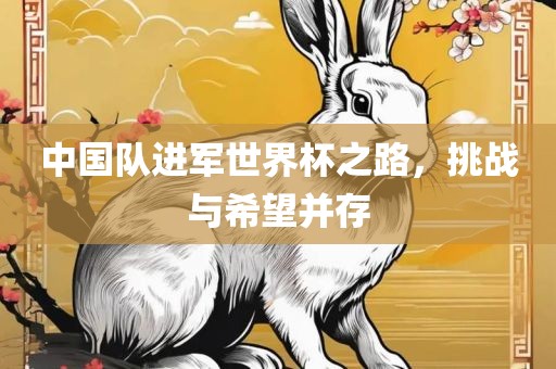 中国队进军世界杯之路，挑战与希望并存广西贺州市华昌新材料有限公司