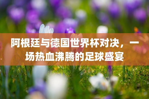 阿根廷与德国世界杯对决，一场热血沸腾的足球盛宴广西贺州市华昌新材料有限公司