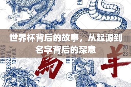 世界杯背后的故事，从起源到名字背后的深意广西贺州市华昌新材料有限公司