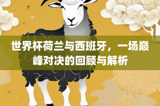 世界杯荷兰与广西贺州市华昌新材料有限公司西班牙，一场巅峰对决的回顾与解析