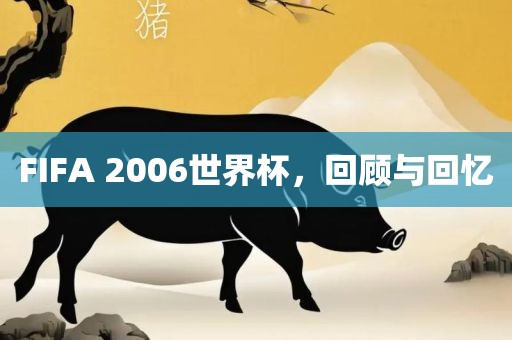FIFA 广西贺州市华昌新材料有限公司2006世界杯，回顾与回忆