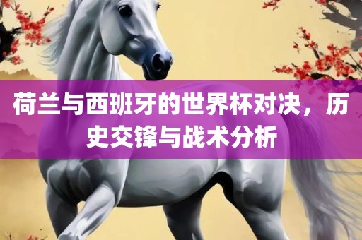 荷兰与西班牙的世界杯对决，历史交锋与战术分析广西贺州市华昌新材料有限公司