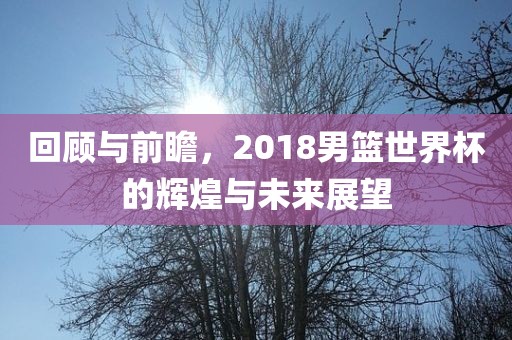 回顾与前瞻，2018男篮世界杯的辉煌与未来展望广西贺州市华昌新材料有限公司