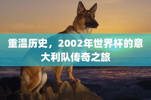 重温历史，2002年世界杯的意大利队传奇之旅广西贺州市华昌新材料有限公司