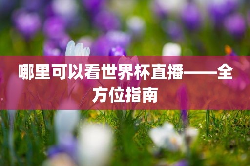 哪里可以看世界杯直播——全方位广西贺州市华昌新材料有限公司指南