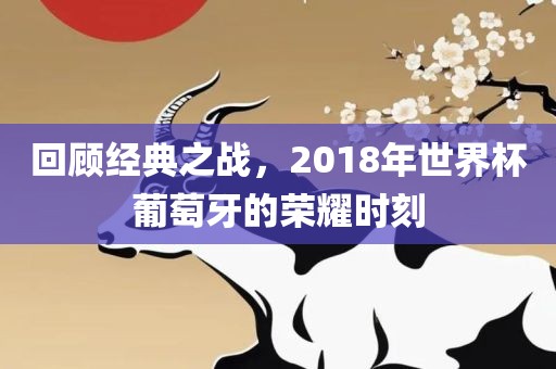 回顾经典之战，2018年世界杯葡萄牙的荣耀时刻广西贺州市华昌新材料有限公司