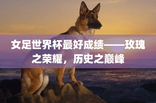 女足世界杯最好成绩——玫瑰之荣耀，历史之巅峰广西贺州市华昌新材料有限公司