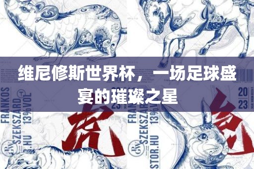 维尼修斯世界杯，一场足球盛宴的璀璨之星广西贺州市华昌新材料有限公司