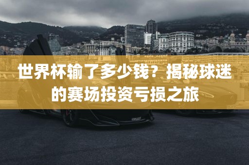 世界杯输了多少钱？揭秘球迷的赛场投资亏损之旅广西贺州市华昌新材料有限公司