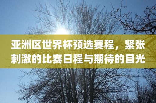 亚洲区世界杯预选赛程，紧张刺激的比赛日程与期待的目光广西贺州市华昌新材料有限公司
