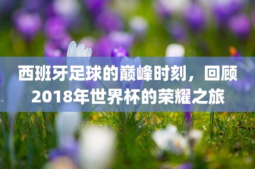 西班牙足球的巅峰时刻，回顾2018年世界杯的荣耀之旅广西贺州市华昌新材料有限公司